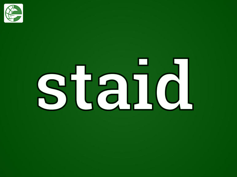 What Is The Meaning Of Staid_