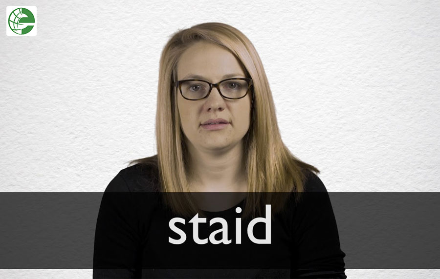 What is the meaning and the correct usage of the word _staid__